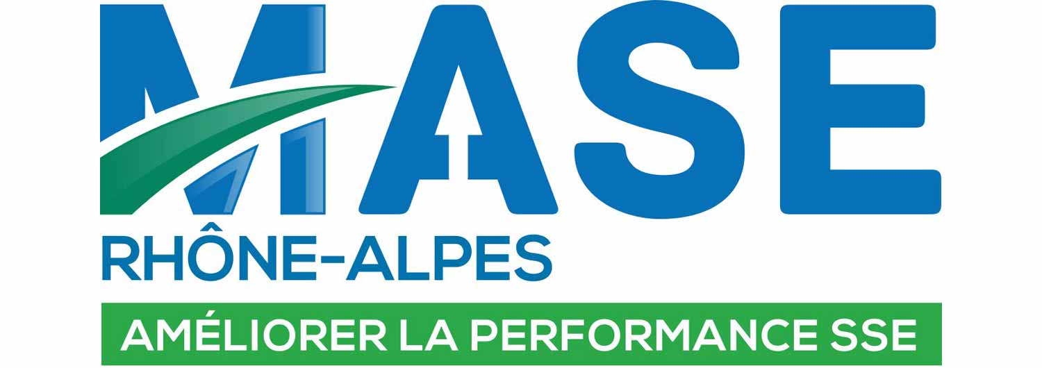 Logo-MASE-couverture-article-audit-blanc